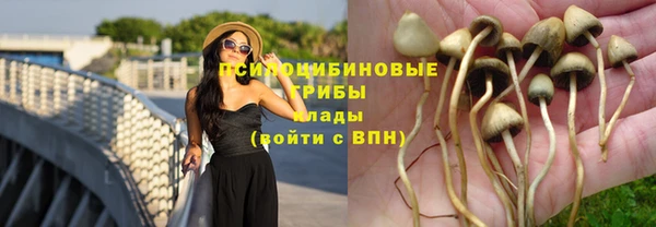 мдпв Краснотурьинск