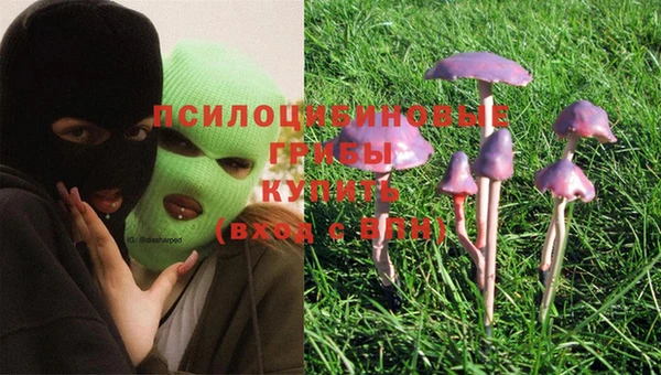 мдпв Краснотурьинск