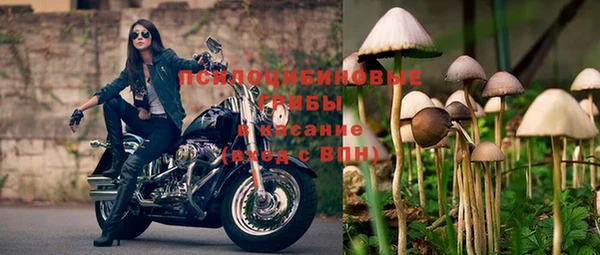 мдпв Краснотурьинск